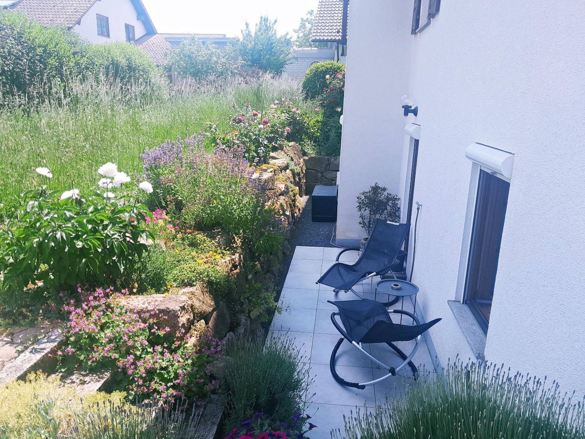 Ferienwohnung Bluetenzauber In Idyllischer Lage Naehe Bodensee Hilzingen Екстериор снимка
